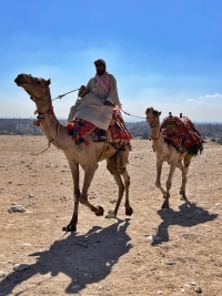 2023-04-10 08 Egypt Plateau.jpg